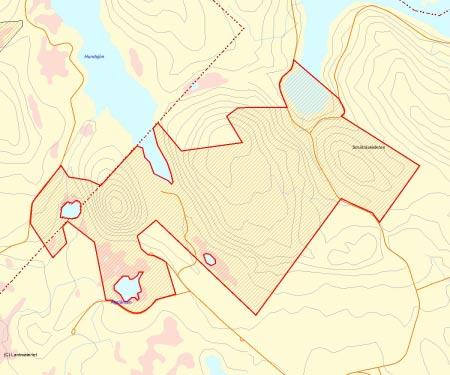 Länsstyrelsens bedömning Småträskområdet innehåller både brandpräglad tallskog och gammal, lövrik successionsskog efter brand.