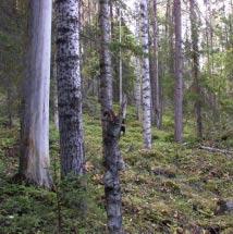 3012 Inre Råberget Kommun Boden Totalareal 89 ha Naturgeografisk region 30b Areal land 89 ha Objektskategori U1 Areal vatten 0 ha Markägare Sveaskog Areal produktiv skogsmark 72 ha Ovanför fjällnära