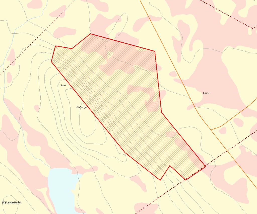 Länsstyrelsens bedömning Områdets mosaik av urskogsartade barrblandskogar och brännor med stort inslag av lövträd, samt myr- och bäckmiljöer gör att Inre Råberget har