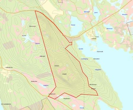 Länsstyrelsens bedömning Assjatj består av en större höjdrygg med grandominerad höjdlägesskog.