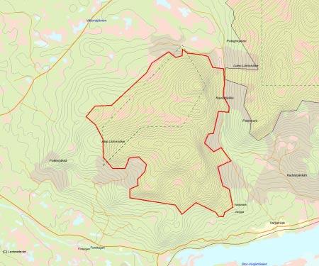 Länsstyrelsens bedömning Alep Låmenåive är ett tämligen stort, sammanhängande och obrutet område med gammal och till större delen urskogsartad eller orörd höjdlägesgranskog.