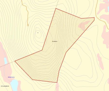 Länsstyrelsens bedömning Storklintens södra och östra delar utgörs av urskogsartade tallskogar.