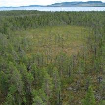 3856 Tjärnmyrtjärn Kommun Arjeplog Totalareal 244 ha Naturgeografisk region 33h Areal land 225 ha Objektskategori U1 Areal vatten 19 ha Markägare Fastighetsverket Areal produktiv skogsmark 99 ha