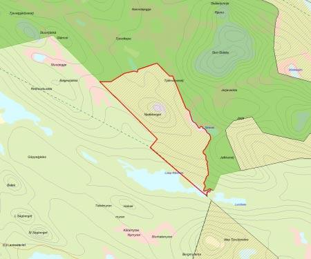 Länsstyrelsens bedömning Njallaberget är ett större ur- och naturskogsområde som ligger som en stor bukt in i naturreservatet Ståkke-Bårgå fjällurskog.