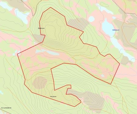 Länsstyrelsens bedömning Ballekvare-Reurivare utgör ett större sammanhängande tallurskogslandskap med höga naturvärden.