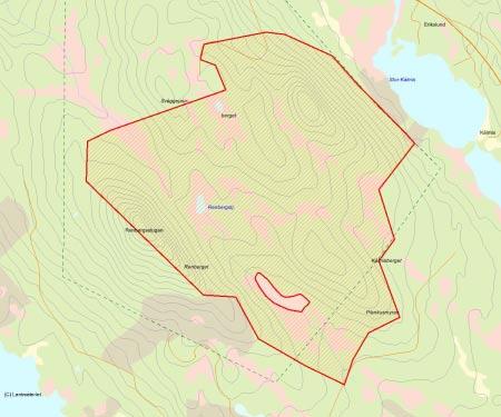 Länsstyrelsens bedömning Renberget är ett stort urskogsartat område som huvudsakligen är opåverkat av skogsbruk.