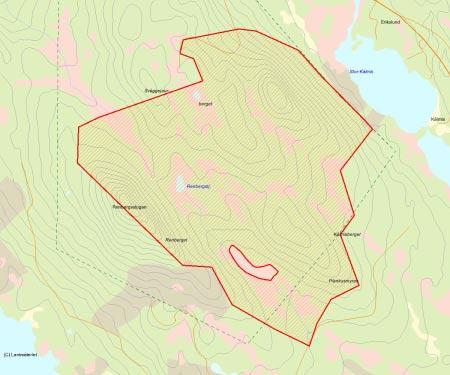 Länsstyrelsens bedömning Renberget är ett stort urskogsartat område som huvudsakligen är opåverkat av skogsbruk.