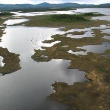 3936 Varto-Kuollejaure Kommun Arjeplog, Jokkmokk, Totalareal 3 955 ha Arvidsjaur Naturgeografisk region 32c, 33h Areal land 3 094 ha Objektskategori U1 Areal vatten 861 ha Markägare Sveaskog Areal