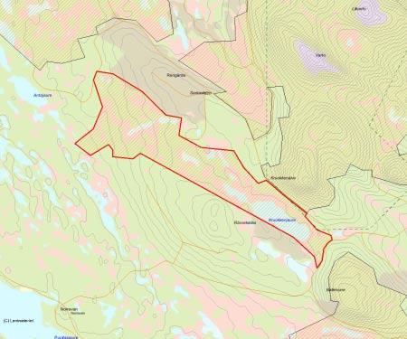 Länsstyrelsens bedömning Skogen i Kruokkenjaure är helt övervägande urskogsartad. Området består av en skog-/myrmosaik där stora delar av de skogbeklädda markerna är impedimentartade.