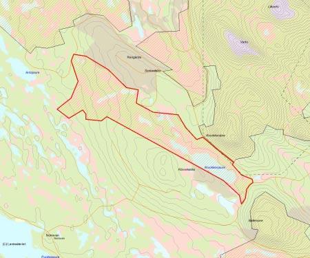 Länsstyrelsens bedömning Skogen i Kruokkenjaure är helt övervägande urskogsartad. Området består av en skog-/myrmosaik där stora delar av de skogbeklädda markerna är impedimentartade.