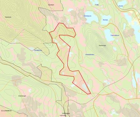 Länsstyrelsens bedömning Tjaraijåkkå är ett område med höga naturvärden med gammal och delvis urskogsartad tallskog samt skogmyrmosaik.