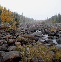 2961 Ruttjebäckens dalgång Kommun Arjeplog Totalareal 217 ha Naturgeografisk region 33h Areal land 215 ha Objektskategori U1 Areal vatten 2 ha Markägare Sveaskog Areal produktiv skogsmark 202 ha