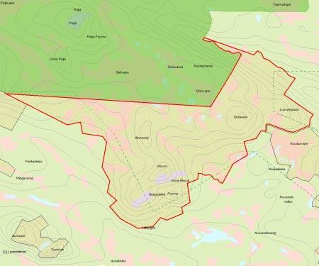 Länsstyrelsens bedömning Reuna är ett stort urskogsobjekt om hyser en mängd olika ur- och naturskogsmiljöer med höga eller mycket höga naturvärden.