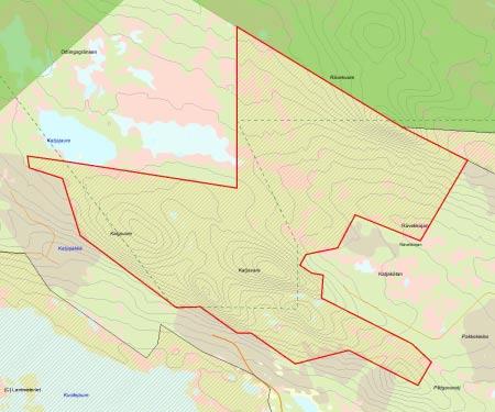 Länsstyrelsens bedömning Katjavare är ett stort, talldominerat område med hög andel urskogsartad skog eller annan naturskog med höga naturvärden.