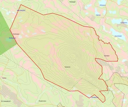 Länsstyrelsens bedömning Tjaraivare är ett stort skogsberg som till stor del kläs av urskogsartad tall- och barrblandskog, men även urskogsartad granskog förekommer bitvis.