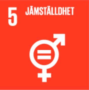Agenda 2030 med fokus på mål 5 och 16 Det här materialet anknyter framför allt till mål 5: Jämställdhet och mål 16: Fredliga och inkluderande samhällen.