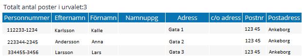 I rapporttypen Personsammanställning kan man exportera listan till Excel för vidare redigering.