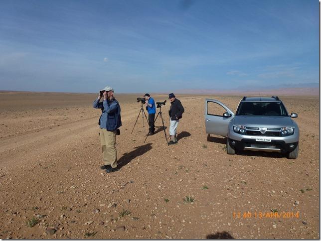 Dagbok 12/4 Marrakech Boulmalne Dades Vid flygplatsen hämtade vi ut vår Dacia Duster och växlade till den lokala valutan dirham. De första fåglarna var seglare och trädgårdsbulbyler som underhöll oss.