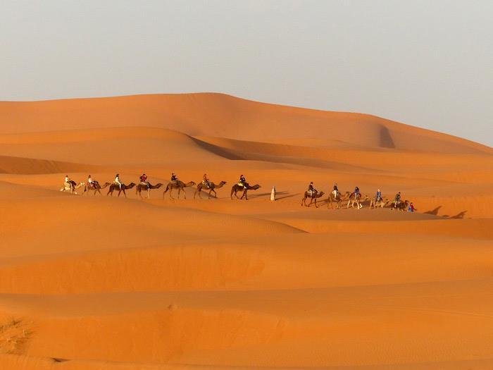 ringmärkte. Vi bestämde att följa med dem nästa morgon kl. 6.15. Till kvällsmåltiden kunde dvärguven höras Erg Chebbi.