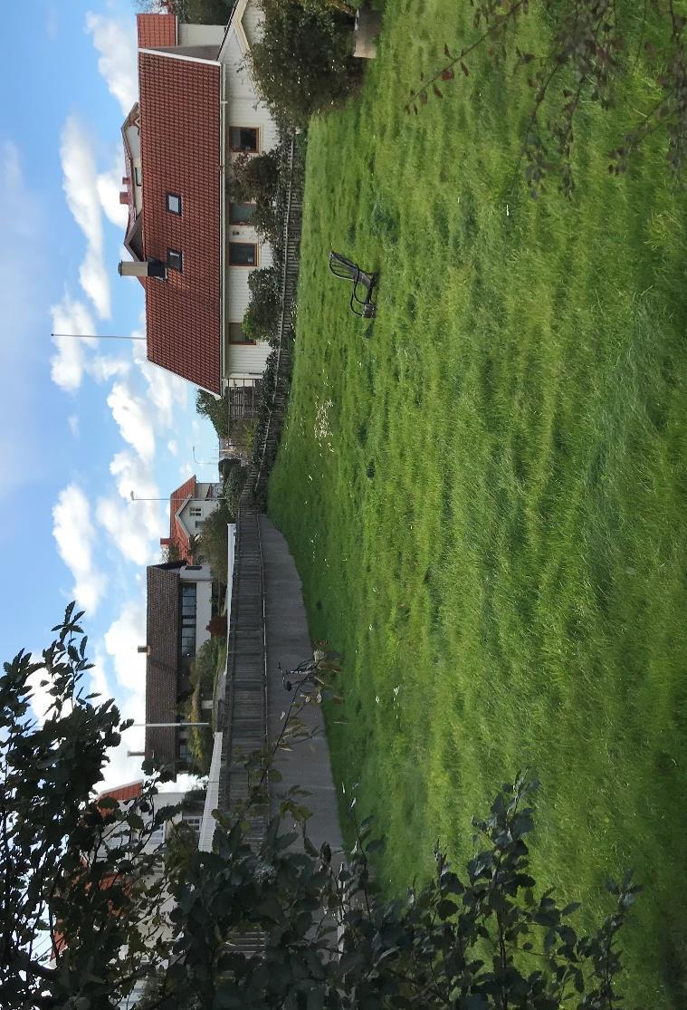 Skarviksvägen österut, där Mossvägen möter Figur 3. Västra gränsen Björkö söderifrån och framtida GC-väg norrifrån. 1:305. Figur 4. Sydvästra hörnet av Björkö 1:305.