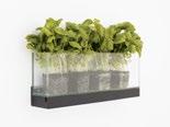 Artikelnummer, utförande på list och glaslåda. The glass planter, 500 mm long in clear or white glass, is used together with a 98 mm deep display ledge for a wall-mounting.