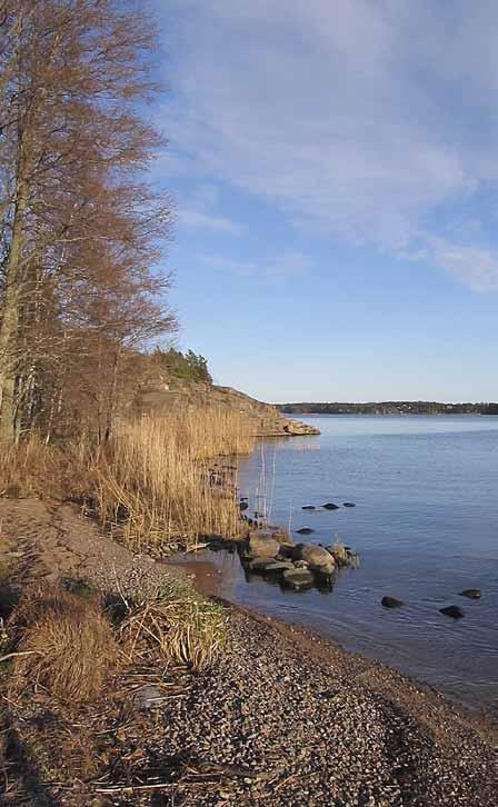 krav och inriktas antingen efter bransch, kemiska ämnen eller områden. Arbetet med modellen har kommit så långt att den är klar att testas av några kommuner under 2012.