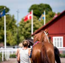 Där samlas hästarna inför loppet och det är där tränarna och ägarna ger sina jockeys ridorder. Den som leder hästen kallas träckare.