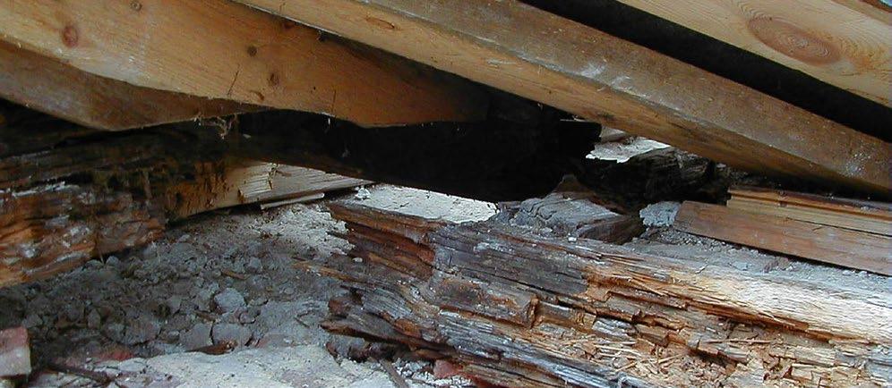 PROTOX SVAMP En effektiv fungicid mot äkta hussvamp och andra rötsvampar. För träkonstruktioner och murverk i byggnader. ENDAST FÖR YRKESMÄSSIGT BRUK Mot äkta hussvamp och andra rötsvampar.