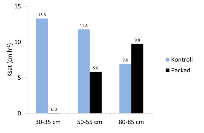 6 80.6 6.1 4 Havre 8.7 83.0 5.0 5 Höstraps 8.8 79.8 9.7 6 Sockerbetor 9.