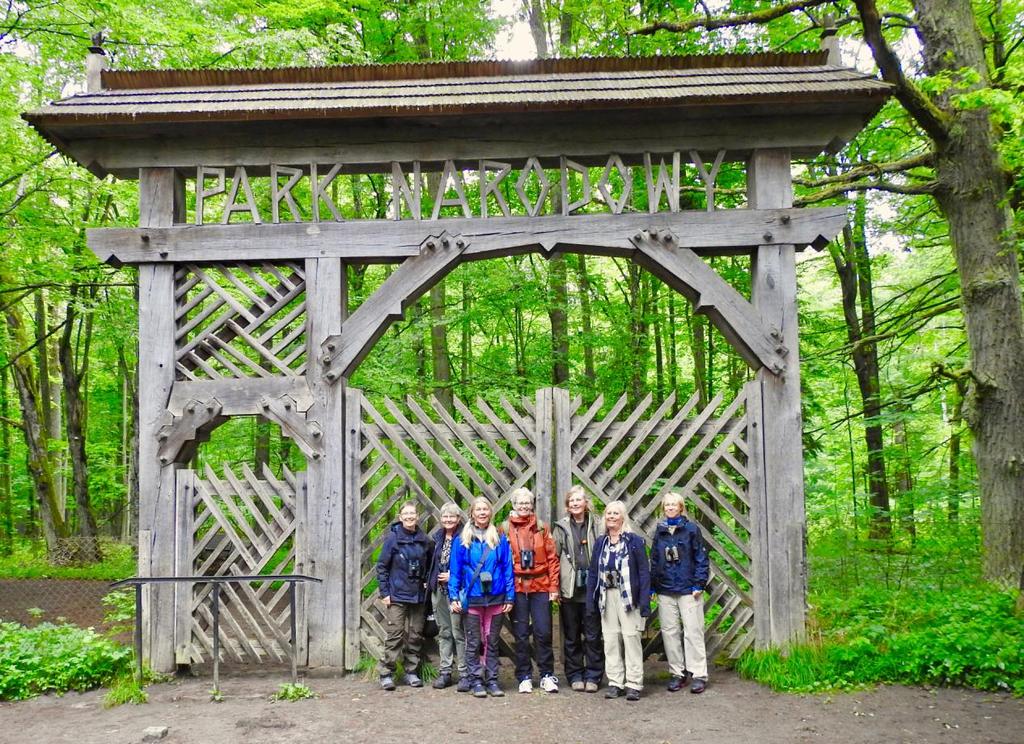 Gänget som åkte t ill Polen. Här står vi utanför Jurassic parkgrinden, grinden in till den stängda skogen i Bialowieza.