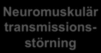 störande faktorer Tex