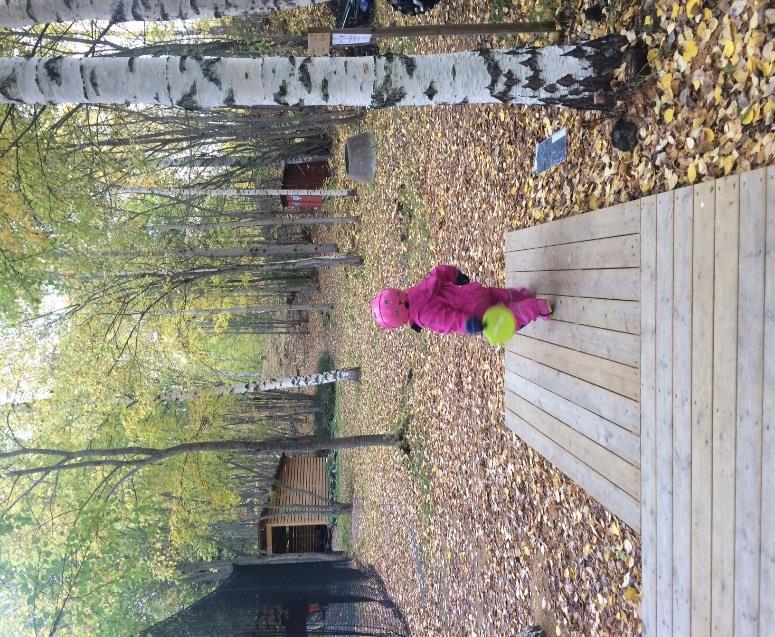 Motorikbana Skol IF har byggt upp en motorikbana vid skolan i form av slacklines som nyttjas dagligen av skolan, fritids och allmänheten.