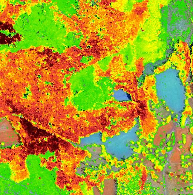 Data om skogstillstånd Trädhöjd Beståndsvolym Skapas