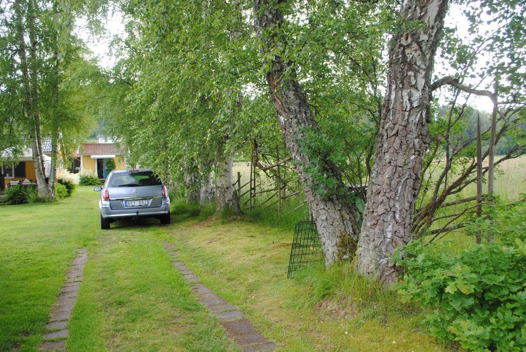 Inventering av biotopskyddade områden inför Datum 2015-08-17 Lokalnummer: 2 Beskrivning: Enkelsidig allé med 8 björkar, 45 cm i diameter.