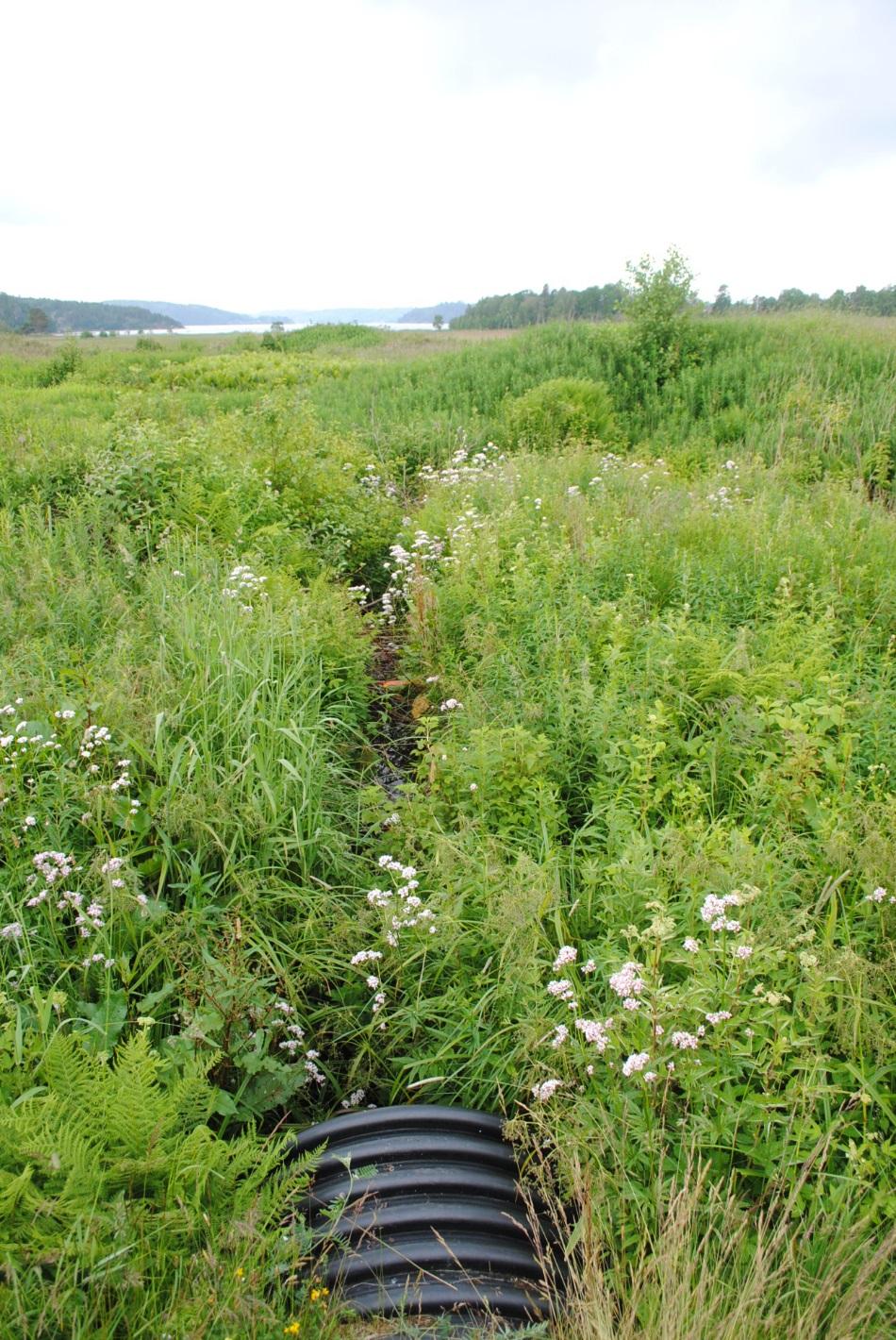 Inventering av biotopskyddade områden inför Datum 2015-06-30 Lokalnummer: 3 Beskrivning: Bäck som korsar