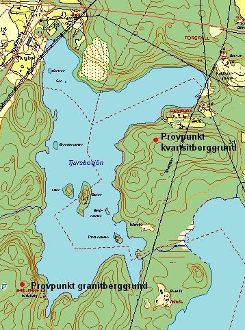 1.6. Morän Runt Tjursbosjön förekommer områden med både granit- och kvartsitberggrund. Granitområdet utbreder sig i huvudsak väster om sjön och kvartsitbergrunden förekommer öster om sjön.
