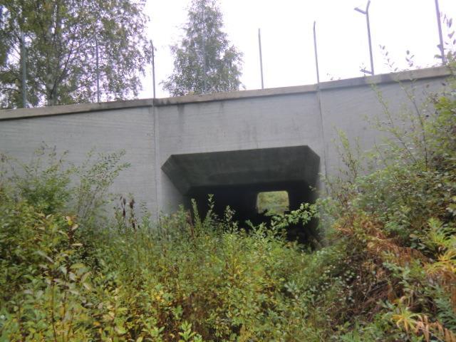 Bild 5. Bro över Flottningsränna, NV Granvåg i Sollefteå.