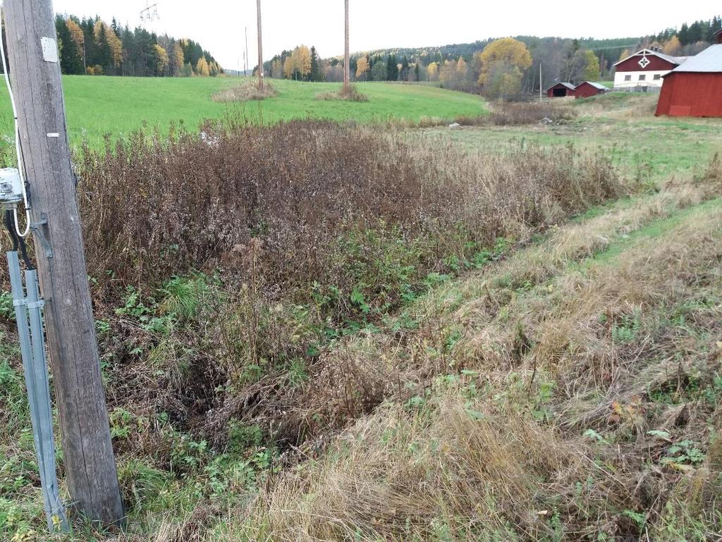 utseende och älvdynamik. Enligt Vattenmyndigheternas bedömning är denna del av Faxälven ett kraftigt modifierat vatten som bedömts ha en måttlig ekologisk potential.