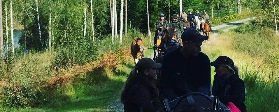 Sommarpremiering Svenljunga 28 juli Vid årets sommarpremiering visades ca. 30 Nordsvenskar, stort grattis till alla fina resultat!