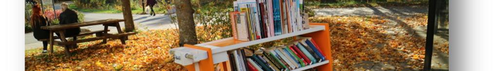 Jämställdhet, likaberättigande och miljöaspekter Jämställdhet och likaberättigande är två nyckelord för Patientbiblioteket.