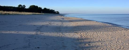 Vandringen följer till största del det blånande havet, med några undantag då leden viker av in i landet och du vandrar genom ek-, tall- eller bokskog.