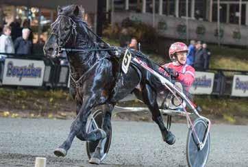 MÅNADENS HÄST Bollnästravetoktober 2018 MÅNPRINSEN A.M. Vi gratulerar med segertäcke och hederspris Hingst 11 år e. Svall Ivar Månskära e.