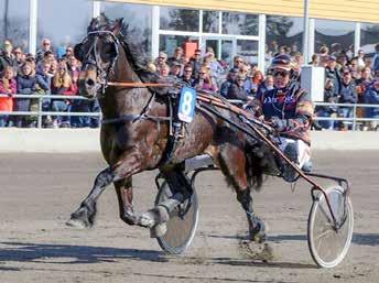 CONNY KULLERS 1640:9 7,5 AK 7,4 M Total: 9 948 9.950 9 10,br.v.e Röste o 19: 4 000 8.700 18: 8 001 8,a 8.