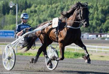 KVAL LOPP PONNYTRAV Start: 17.15 Def: 17.09 KVALTIDER KAT A.50,0 åriga o äldre ostartade.40,0 4åriga som startat.0,0 5åriga & äldre som startat KVALTIDER KAT.55,0 åriga o äldre ostartade.