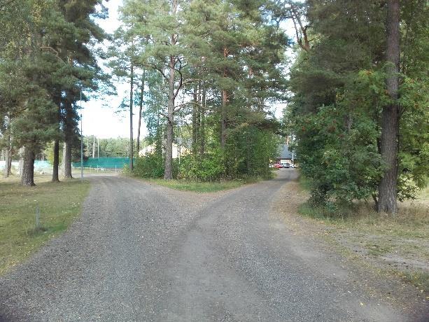 Aktivitetsyta på Furuvik Furuvik är ett stort område som inrymmer strövområden,