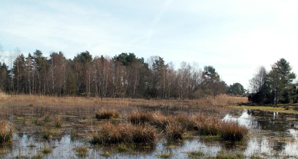 Aqua reports 13:7 Riktlinjer för uppföljning av fiskevårdsåtgärder i