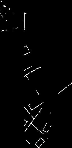 N~ 4 NN,
