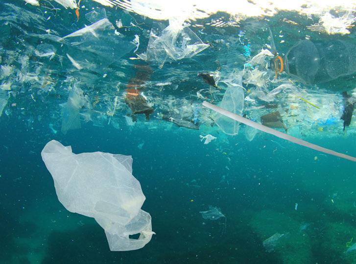 Bild: Shutterstock 3.2 SKRÄPET I HAVET I våra hav flyter mer än 150 miljoner ton plast runt. Och det bara fylls på.