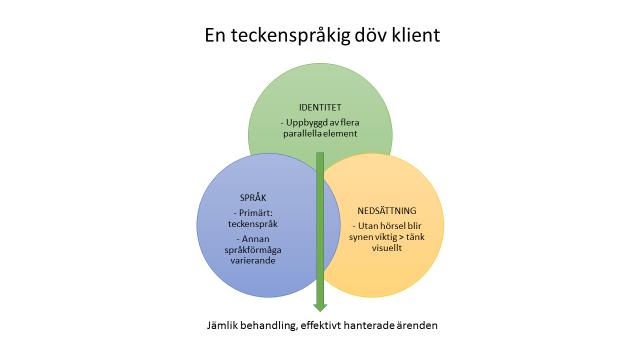 28 3 Nya mål: NU TAR VI TECKENSPRÅKSSPRÅNGET! Under perioden beskriven i SptF2 lyftes myndigheternas brist på kunskap om teckenspråkiga och dövas frågor fram i många sammanhang.