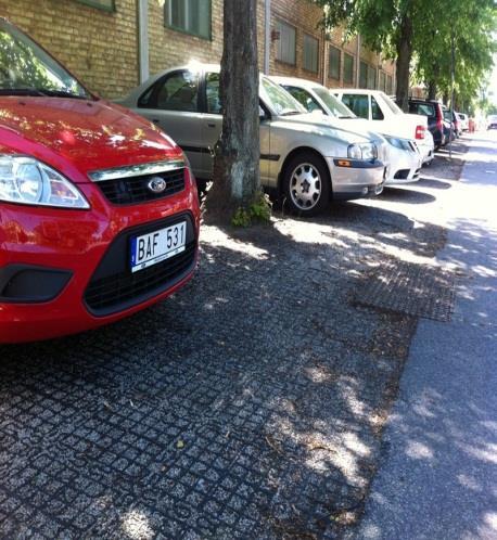 Gröna tak från Emporia i Hyllie, A-C Svensson Gröna tak kan bidra till att positivt
